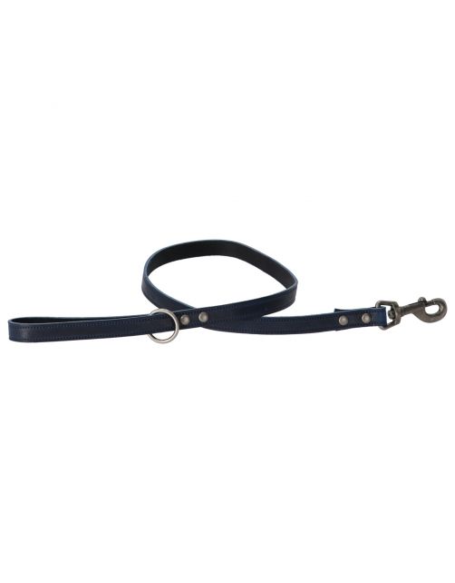 Adori Looplijn Vintage Met Print Blauw - Hondenriem - 100x1.8 cm