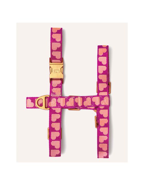 Dogguo Harness - Hondentuig Magenta Abrikoos Xs