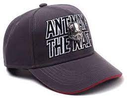 Marvel Comics Ant-Man & The Wasp Embroidered Logo with 2D Metal Helmet Badge Curved Bill Cap